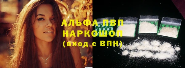 spice Богородск