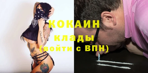 прущие грибы Богданович