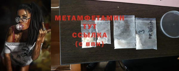 прущие грибы Богданович