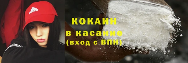 spice Богородск