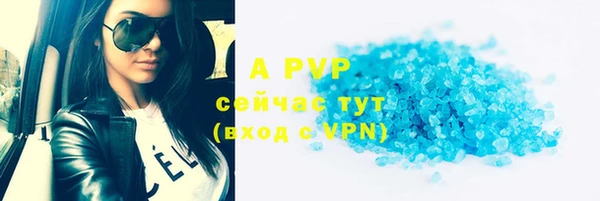 прущие грибы Богданович