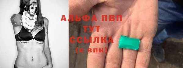 прущие грибы Богданович