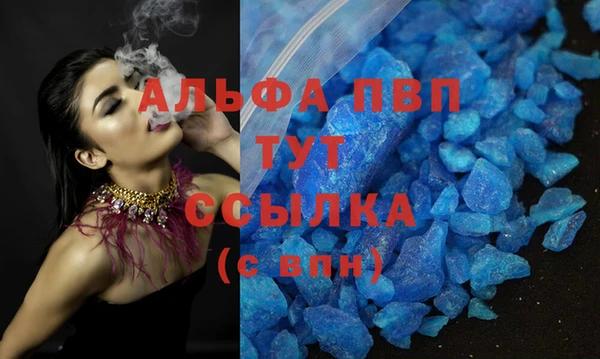 spice Богородск