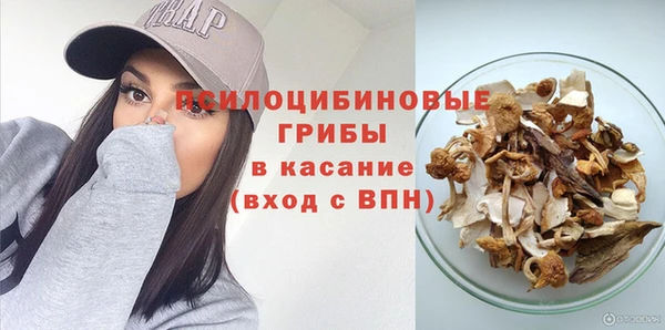 spice Богородск