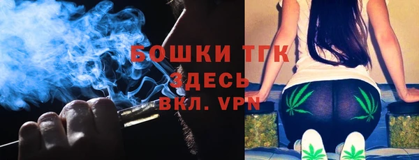 spice Богородск