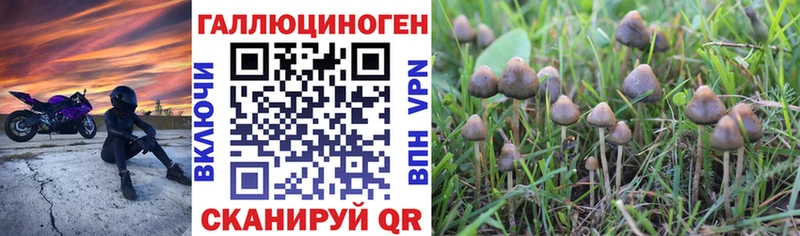 Купить  Алзамай  Галлюциногенные грибы Magic Shrooms 